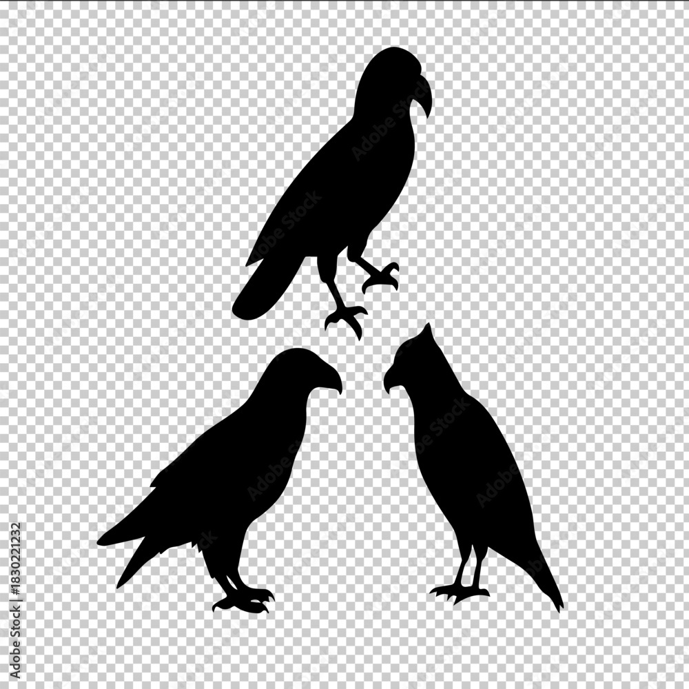 Fototapeta premium Three black bird silhouettes against a transparent background
