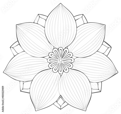 Intricate floral mandala outline for coloring book page. Symmetrical geometric flower pattern for relaxation and art therapy.