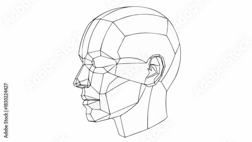Detailed Geometric Head Profile Drawing for Artistic Study.