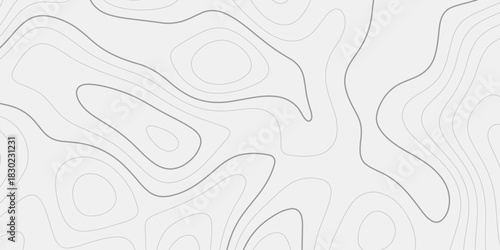 Landscape Elevation Contour Grid With Smooth Curving Geometric Lines Showing Natural Ridge & Valley Form Structure