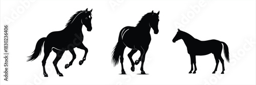 Elegant Silhouette of Horses in Motion, Diverse Poses and Noble Stance
