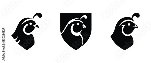 Minimalist quail bird head silhouette icon set for company logo design