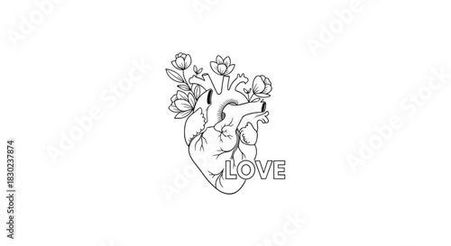 Elegant black and white line art illustration of an anatomical human heart with flowers and the word 'LOVE', representing deep emotion and organic beauty.