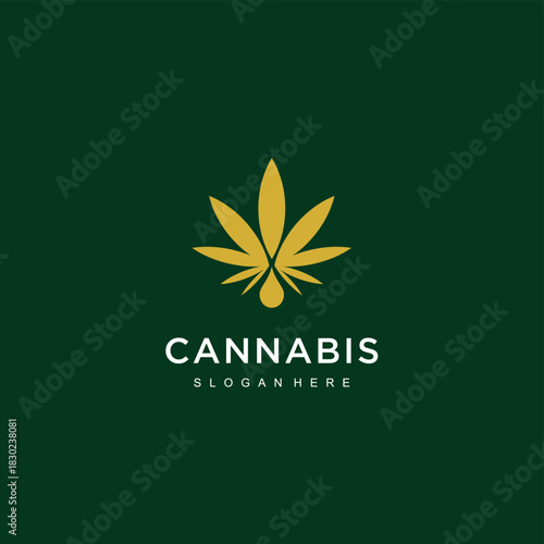Cannabis leaf CBD oil logo design illustration
