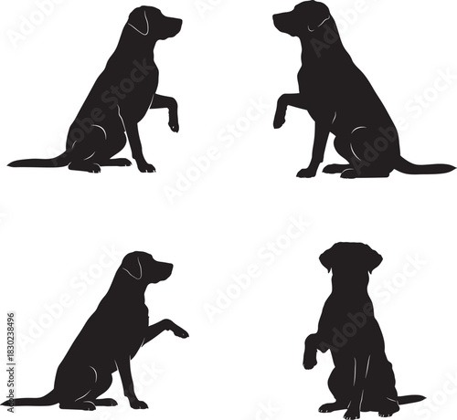 Black labrador retriever silhouette collection in various poses on white background