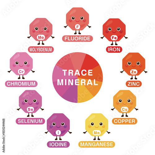 微量ミネラルのキャラクターイラストセット　英語／Trace Minerals Character Illustration Set – English Version