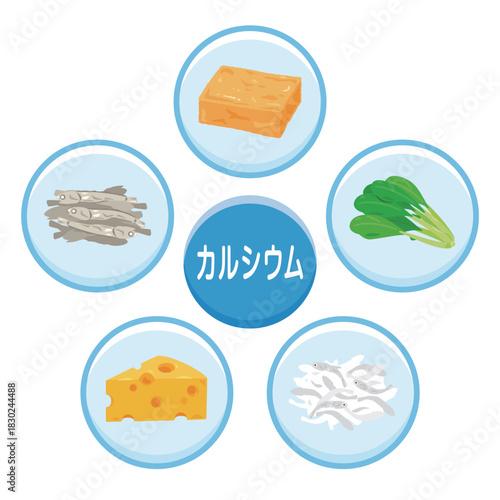 カルシウムを多く含む食品のイラストセット　日本語／Calcium-Rich Foods Illustration Set – Japanese Version