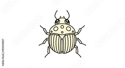 Simple cartoon illustration of a beige beetle with a spotted head and striped back, featuring antennae and six legs, on a white background.
