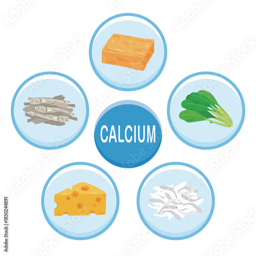 カルシウムを多く含む食品のイラストセット　英語／Calcium-Rich Foods Illustration Set – English Version