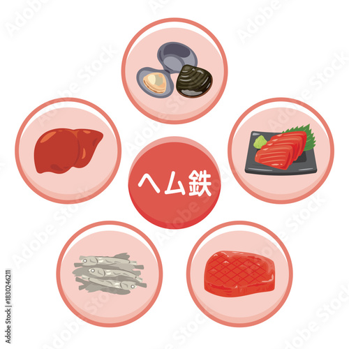 ヘム鉄を多く含む食品のイラストセット　日本語／Heme Iron–Rich Foods Illustration Set – Japanese Version