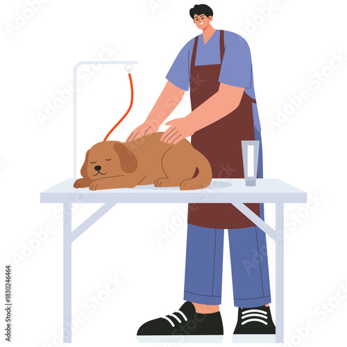 Pet Salon Illustration. Vector illustration of Groomer gives a relaxing back massage to a sleepy dog at a pet spa. Isolated on background