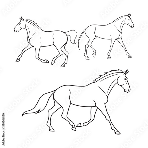 Three distinct line art horses in walking and trotting poses, isolated. Vector
