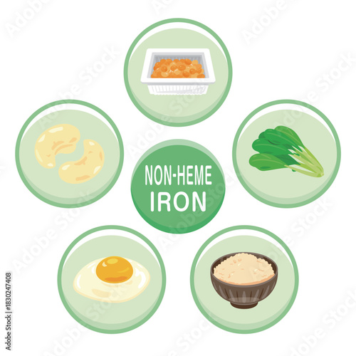 非ヘム鉄を多く含む食品のイラストセット　英語／Non-Heme Iron–Rich Foods Illustration Set – English Version