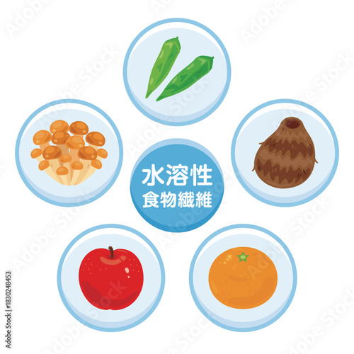水溶性食物繊維を多く含む食品のイラストセット　日本語／Soluble Dietary Fiber–Rich Foods Illustration Set – Japanese Version