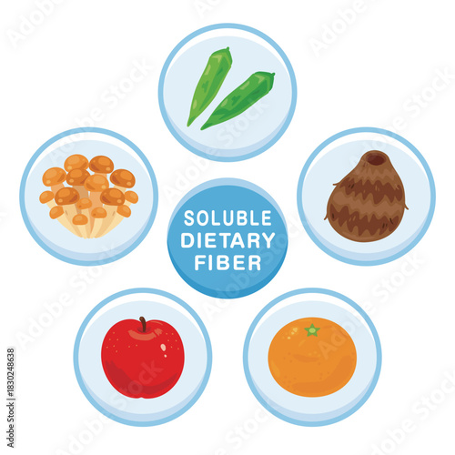 水溶性食物繊維を多く含む食品のイラストセット　英語／Soluble Dietary Fiber–Rich Foods Illustration Set – English Version