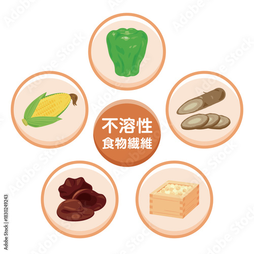不溶性食物繊維を多く含む食品のイラストセット　日本語／Insoluble Dietary Fiber–Rich Foods Illustration Set – Japanese Version