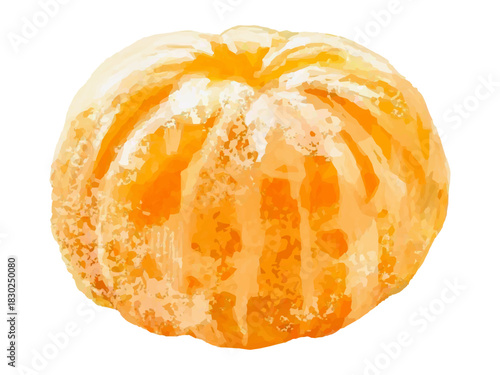 剥きみかんのベクターイラスト (薄皮 筋あり 料理素材)