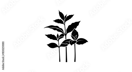 Elegant silhouette of lush green plants in a minimalist style perfect for design.