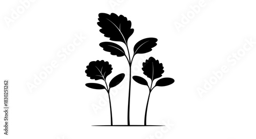 Black and white silhouette illustration of three young seedlings sprouting.