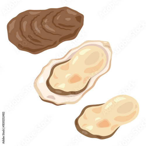 牡蠣のイラストセット／Oyster Illustration Set