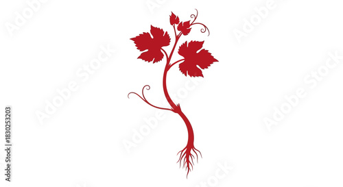 Red Grapevine Plant with Roots and Leaves Silhouette.