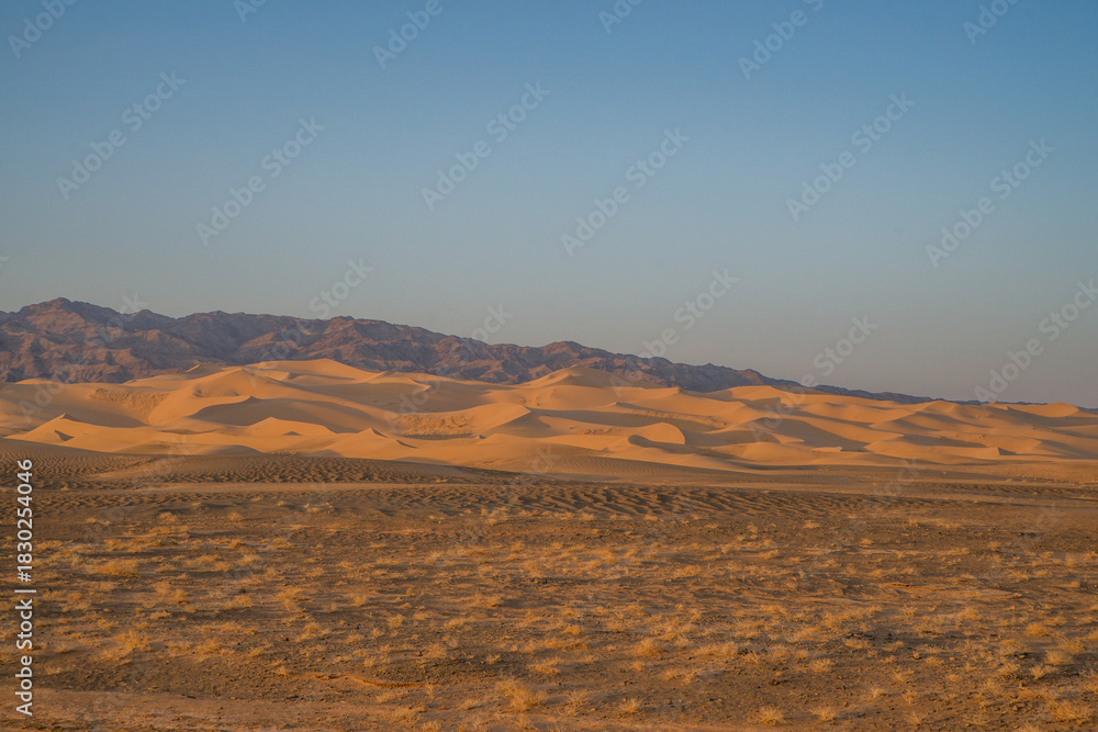 Naklejka premium Sands of the Gobi Desert, Mongolia