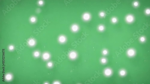 Wallpaper Mural Glowing Lights on Green: A mesmerizing composition of ethereal glowing orbs scattered across a vivid green backdrop, offering a sense of enchantment and wonder. Torontodigital.ca