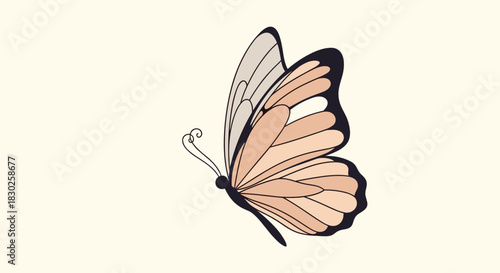 Minimalist illustration of a graceful butterfly in profile with soft peach and pale gray wings on a subtle textured cream backdrop.