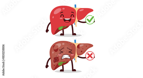 Happy and healthy cartoon liver with a checkmark next to a sad and damaged one with a cross, representing good versus poor liver health.