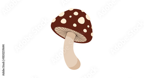 Whimsical brown mushroom with white spots and a light-colored stem illustration, suitable for children's books or nature designs.