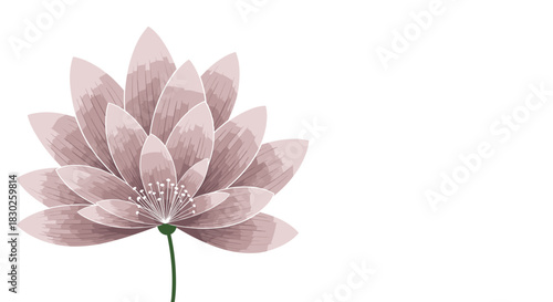 Elegant digital illustration of a soft pink lotus flower with a green stem, symbolizing serenity and spiritual growth, isolated on a clean white background.