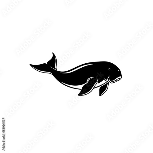 Monochromatic Silhouette of a Large Sea Dweller