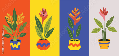 Various Heliconia Plants in a Pot. Tropical Indoor Jungle Illustration Set. House Plants Decoration. Colorful Tropical Potted Plants Illustration in Modern Flat Style