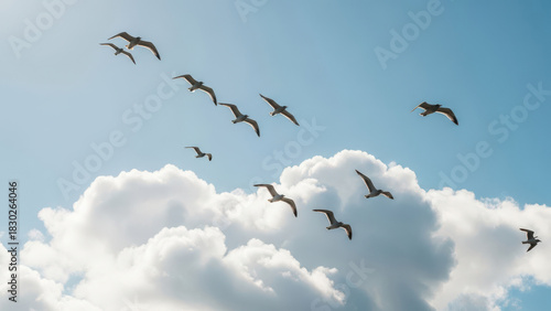 Flock of birds soaring through a cloudy blue sky