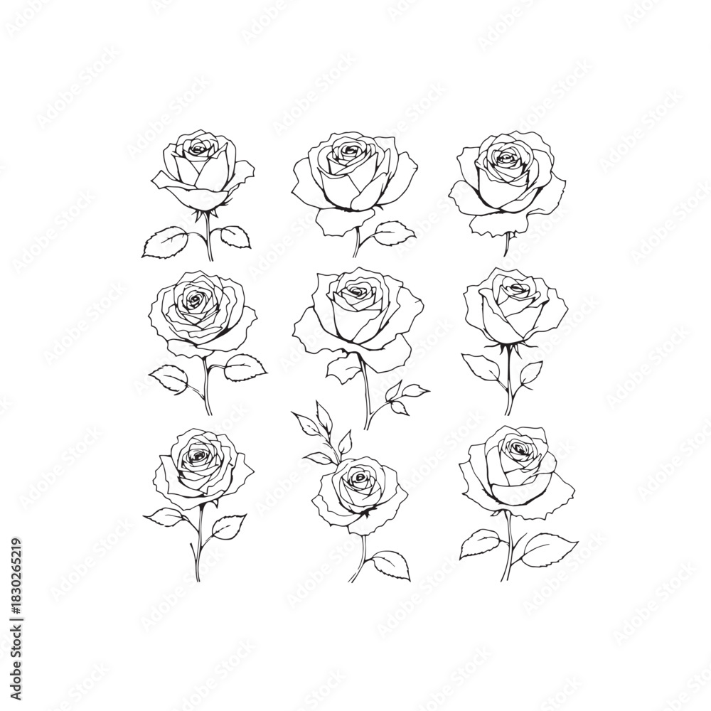 Fototapeta premium Minimalist Roses Line Art Gentle Elegant Design