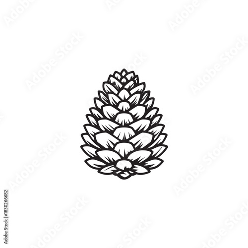 Pine Cone line art textured hand drawn sketch