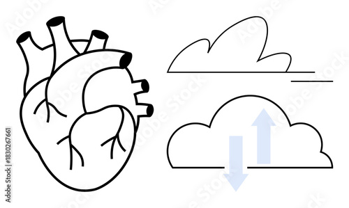 Anatomical heart design next to clouds with arrows indicating flow. Ideal for healthcare, cardiology, environment, data transfer, connectivity, wellbeing, and sustainability themes. Simple flat