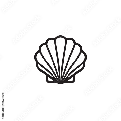 Seashell icon line art detailed marine nature illustration