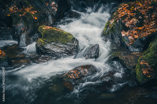 Mountain stream with rocks covered with moss and colorful autumn leaves.