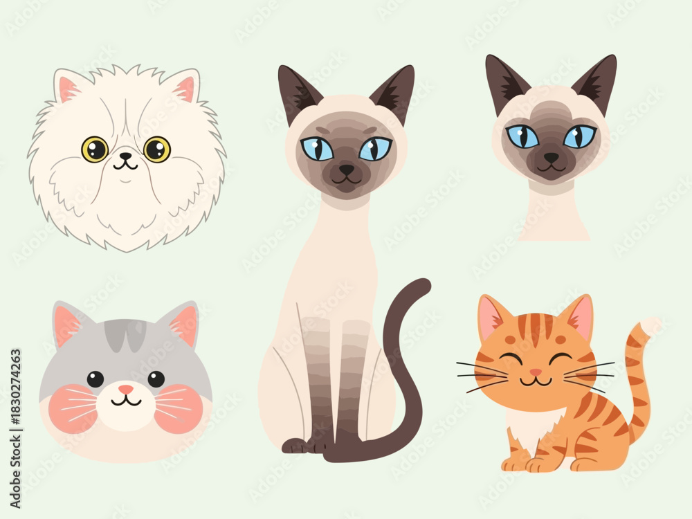 Fototapeta premium Cute cartoon cats of different breeds on a light green background illustration