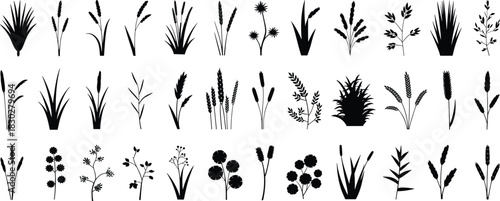 Extensive vector collection of diverse grass, wheat, botanical, and agricultural plant silhouettes, ideal for nature and farming graphic elements.