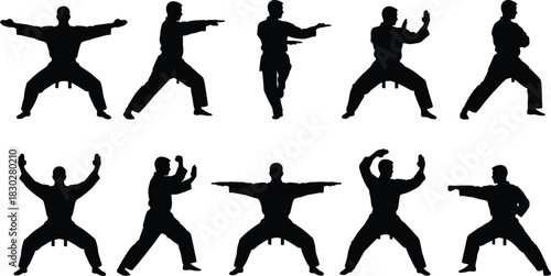 Silhouettes of male martial arts practitioners demonstrating various powerful karate and taekwondo stances and blocks, illustrating combat training and traditional discipline.