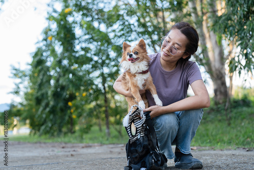 Asian woman carrying cute Chihuahua dog in front carrier bag while walking in public park.