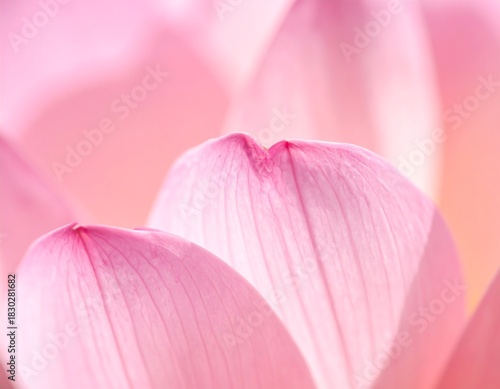 Wallpaper Mural Macro close-up of soft pink lotus flower petals, glowing Torontodigital.ca