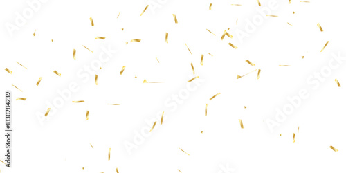 golden confetti pieces falling on a bright white background. scattered array of small light yellow objects  creating a subtle pattern. It evokes a sense of delicate randomness.