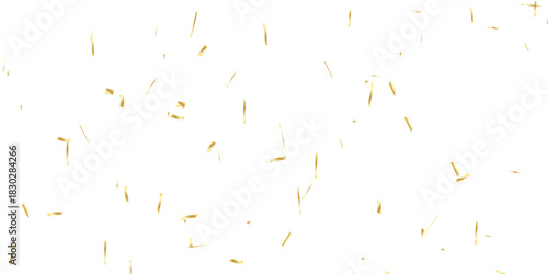 scattered array of golden confetti pieces falling against a stark white background and celebratory atmosphere. Perfect for adding a touch of sparkle and joy.