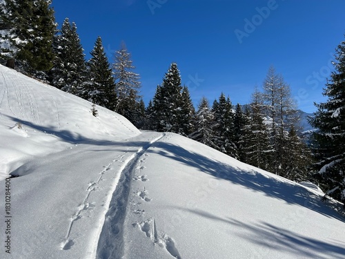 Wonderful winter hiking trails and traces in the fresh alpine snow cover of the Swiss Alps and over the village of St. Antönien - Canton of Grisons, Switzerland (Kanton Graubünden, Schweiz)