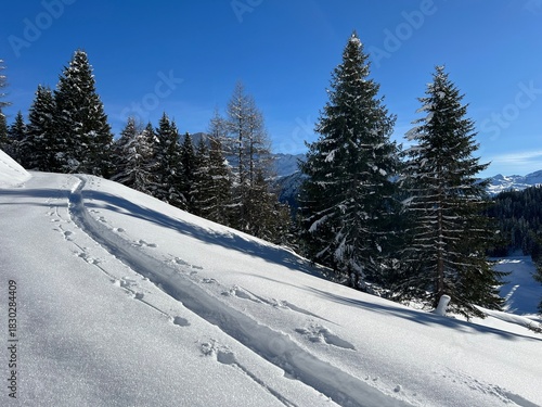 Wonderful winter hiking trails and traces in the fresh alpine snow cover of the Swiss Alps and over the village of St. Antönien - Canton of Grisons, Switzerland (Kanton Graubünden, Schweiz)
