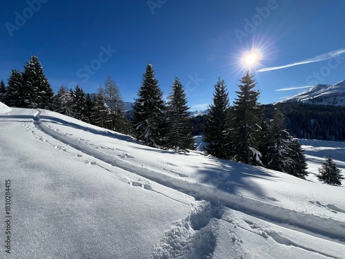 Wonderful winter hiking trails and traces in the fresh alpine snow cover of the Swiss Alps and over the village of St. Antönien - Canton of Grisons, Switzerland (Kanton Graubünden, Schweiz)