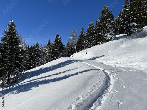 Wonderful winter hiking trails and traces in the fresh alpine snow cover of the Swiss Alps and over the village of St. Antönien - Canton of Grisons, Switzerland (Kanton Graubünden, Schweiz)
